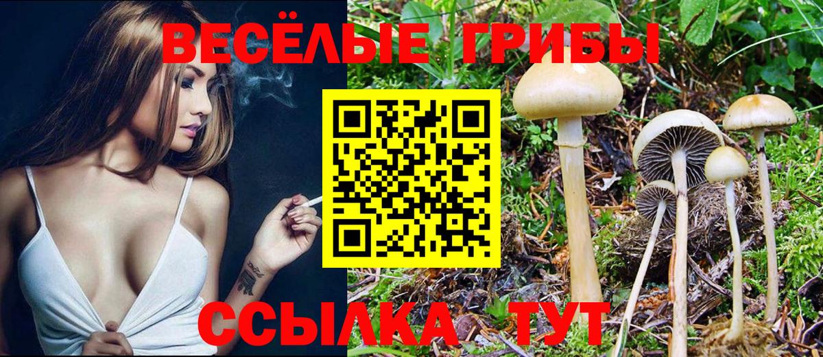 Галлюциногенные грибы мухоморы  Вход с VPN  Псилоцибиновые грибы GOLDEN TEACHER  Петропавловск-Камчатский 