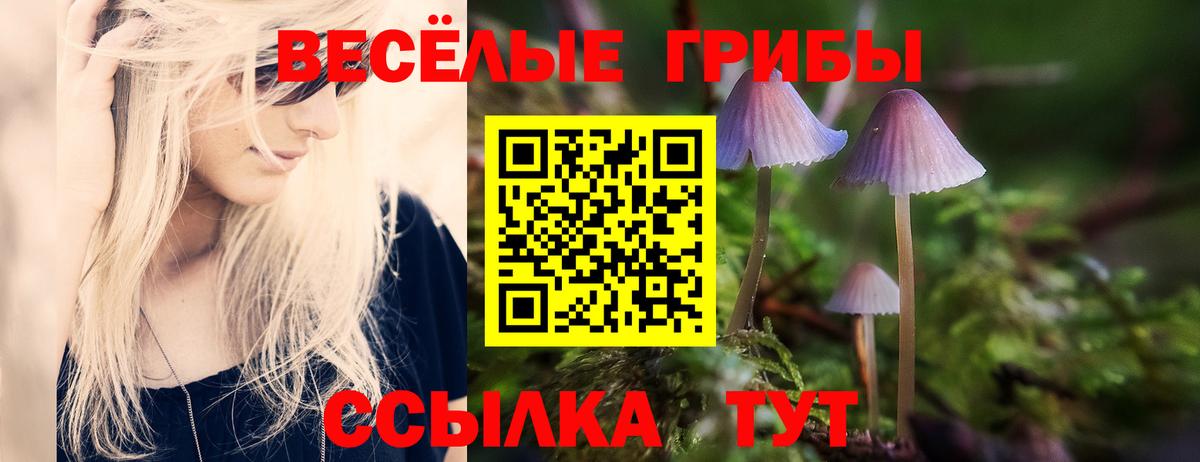 Галлюциногенные грибы Psilocybine cubensis Петропавловск-Камчатский